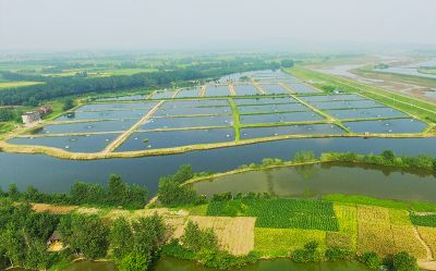 萬(wàn)畝出口加工原料養(yǎng)殖基地